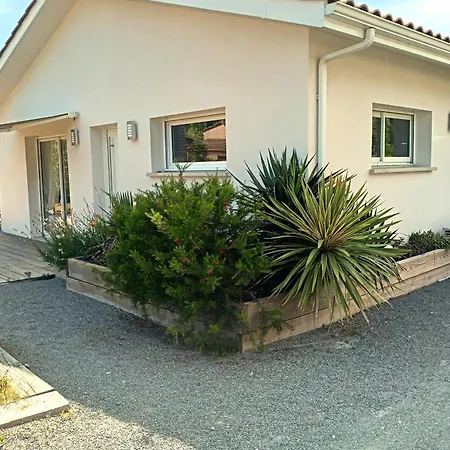 Chez Steph *